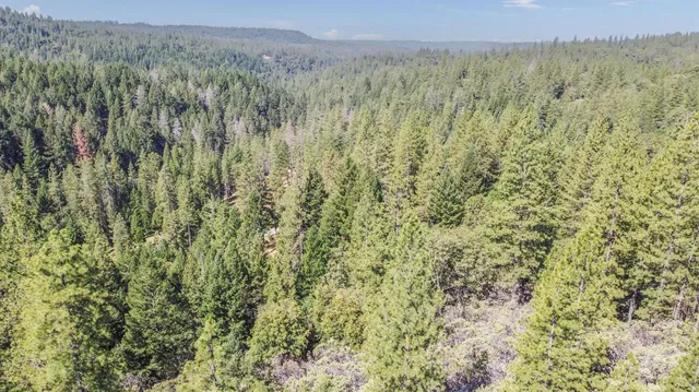 a view of a lush green field