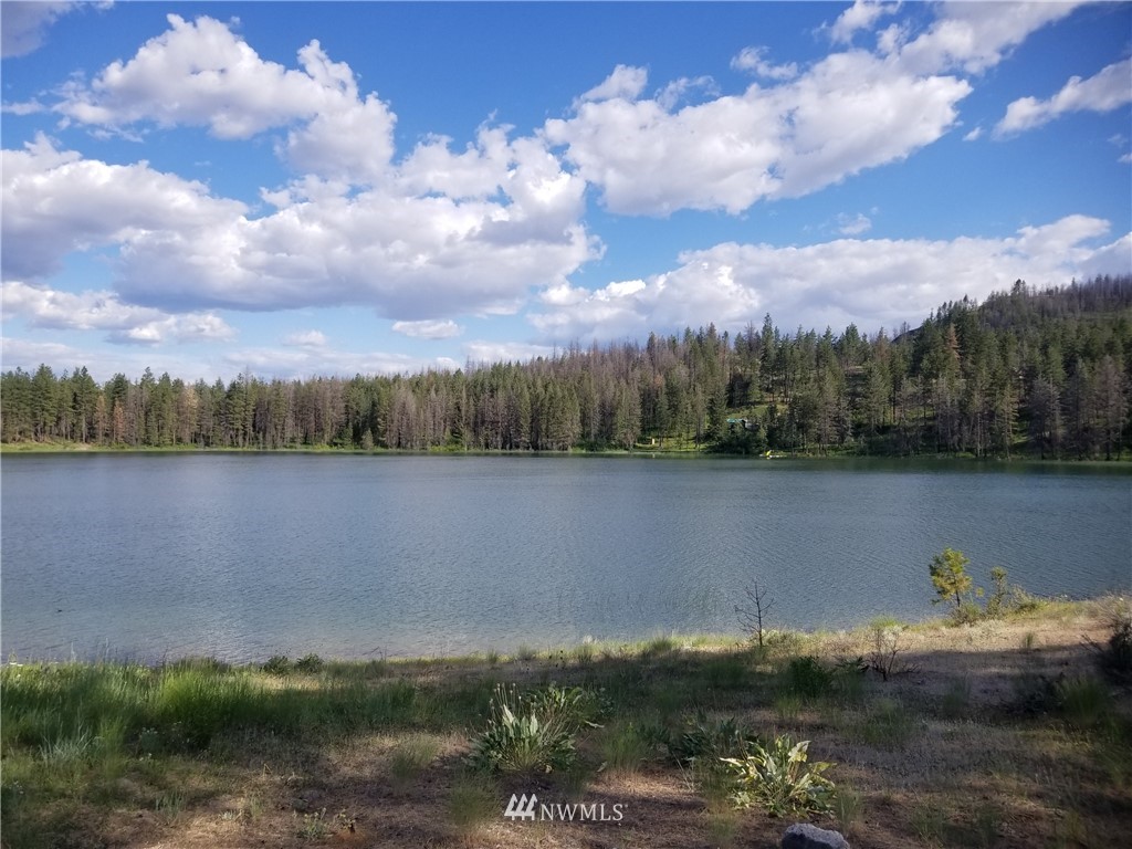 -tbd Tbd Albrecht Lake Road Riverside, WA 98849 - Photo 1 of 20