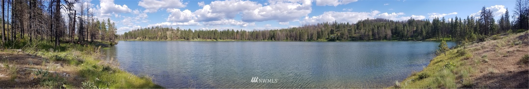 -tbd Tbd Albrecht Lake Road Riverside, WA 98849 - Photo 2 of 20
