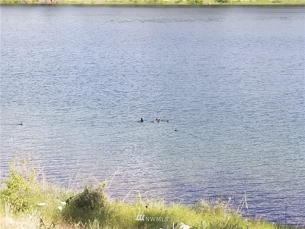 -tbd Tbd Albrecht Lake Road Riverside, WA 98849 - Photo 11 of 20
