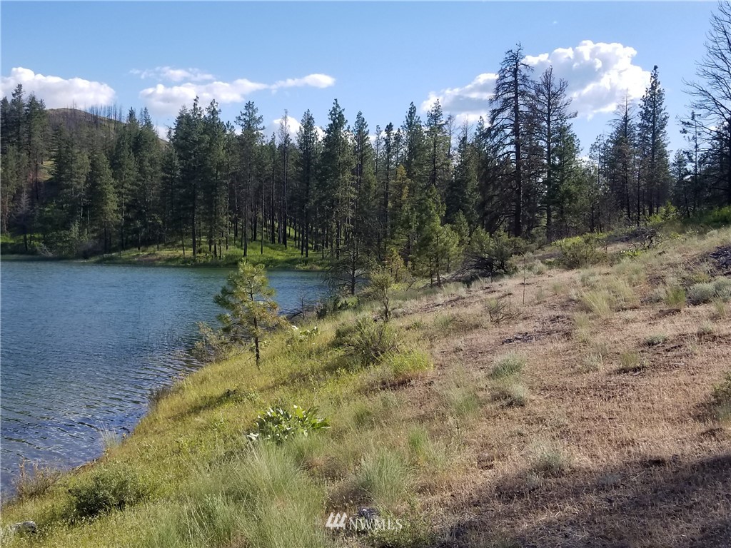 -tbd Tbd Albrecht Lake Road Riverside, WA 98849 - Photo 12 of 20