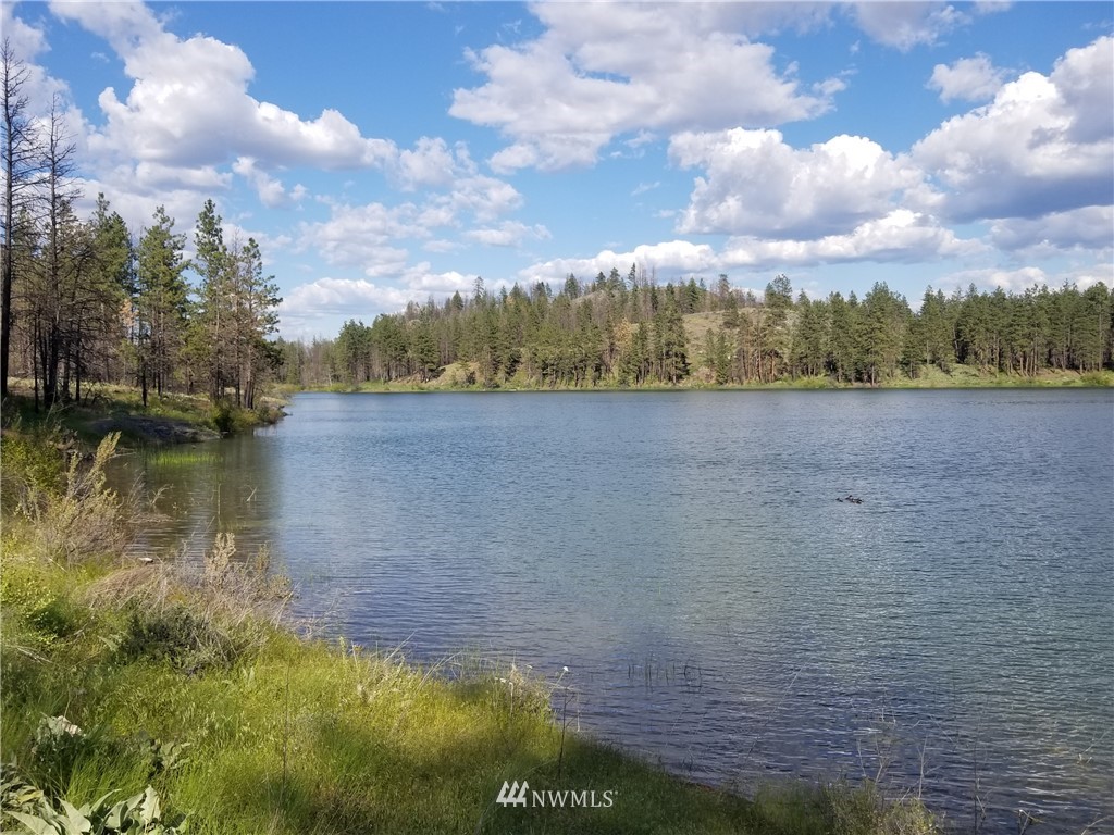 -tbd Tbd Albrecht Lake Road Riverside, WA 98849 - Photo 13 of 20
