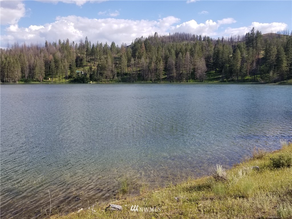 -tbd Tbd Albrecht Lake Road Riverside, WA 98849 - Photo 14 of 20