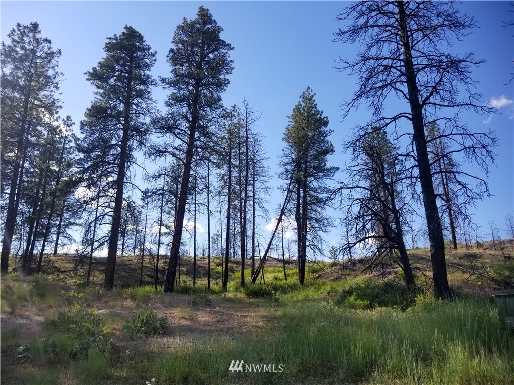 -tbd Tbd Albrecht Lake Road Riverside, WA 98849 - Photo 15 of 20