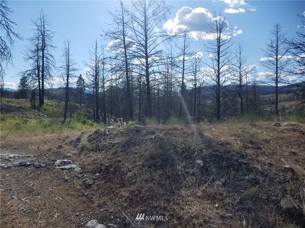 -tbd Tbd Albrecht Lake Road Riverside, WA 98849 - Photo 16 of 20