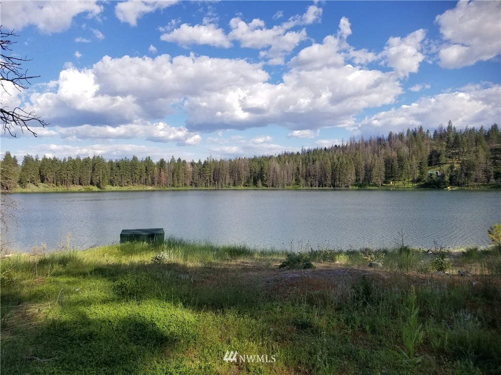 -tbd Tbd Albrecht Lake Road Riverside, WA 98849 - Photo 17 of 20