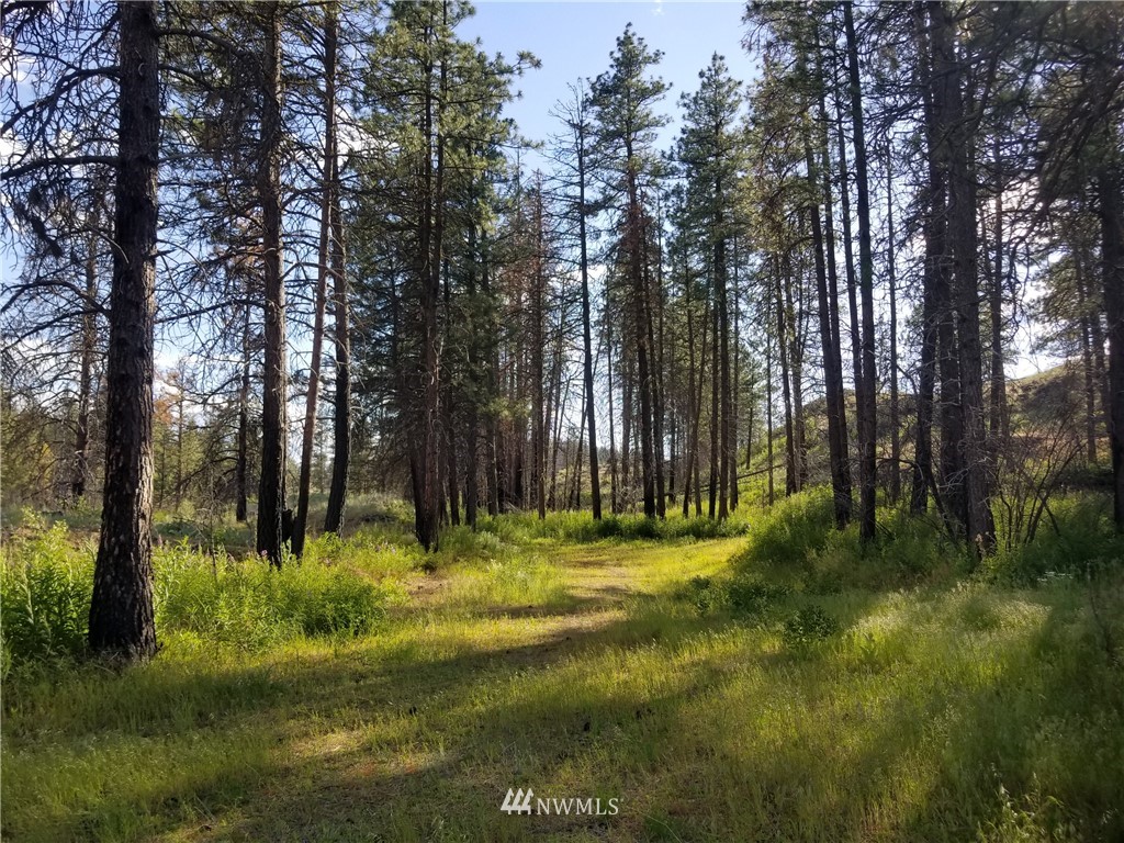 -tbd Tbd Albrecht Lake Road Riverside, WA 98849 - Photo 18 of 20
