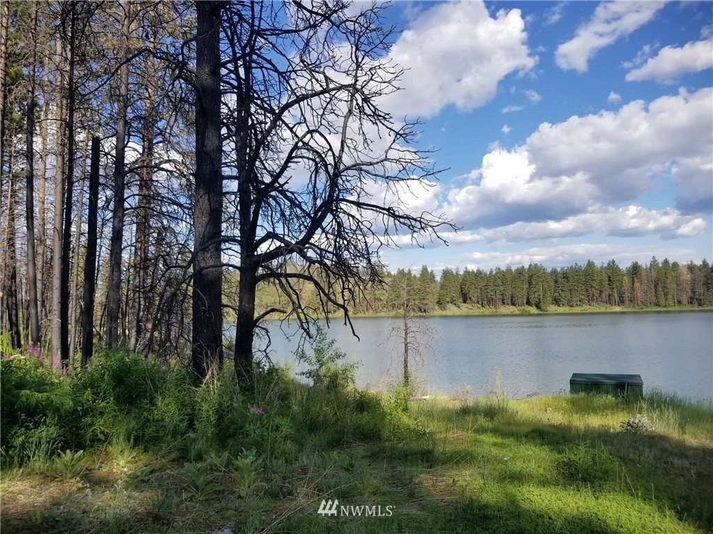 -tbd Tbd Albrecht Lake Road Riverside, WA 98849 - Photo 19 of 20