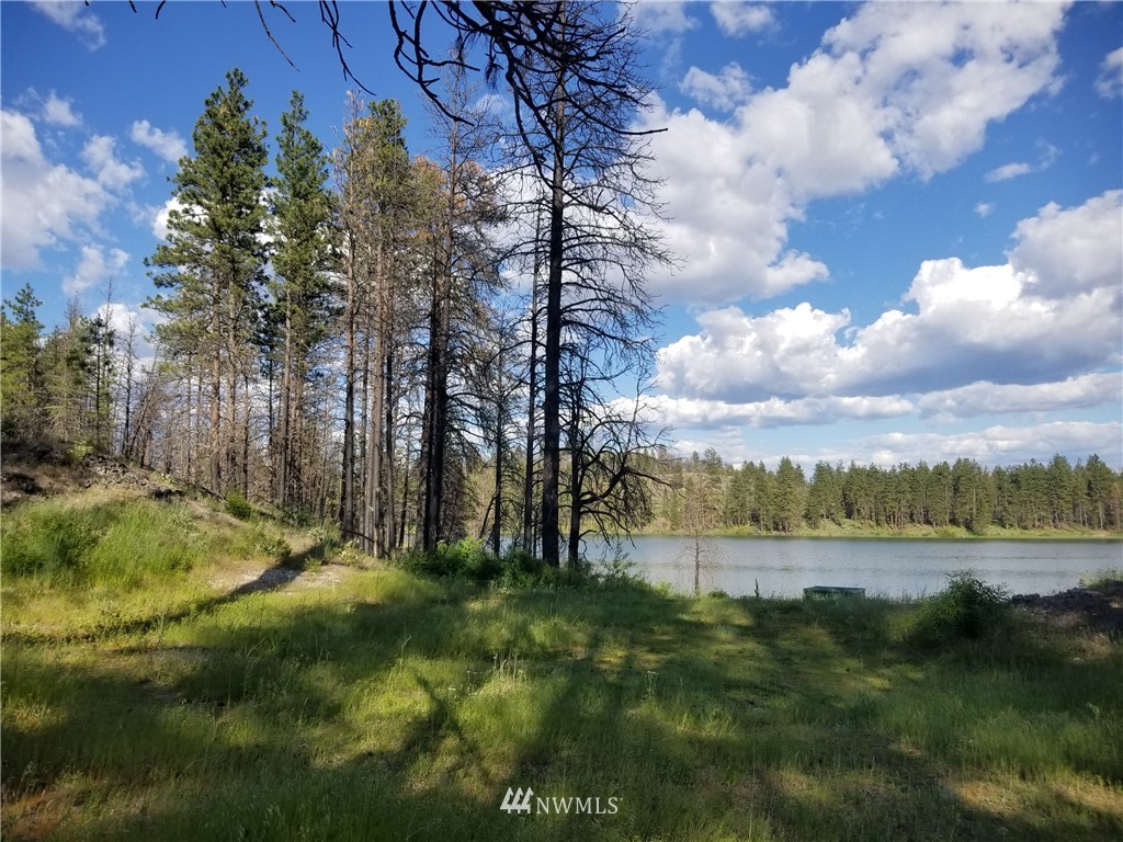 -tbd Tbd Albrecht Lake Road Riverside, WA 98849 - Photo 20 of 20
