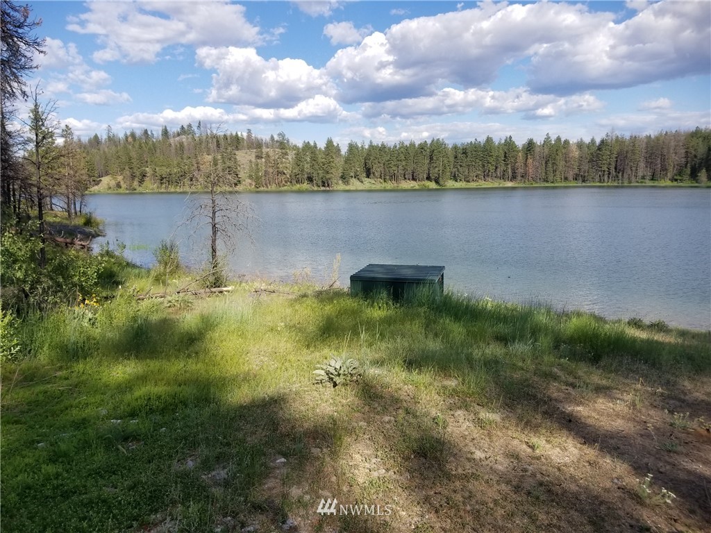 -tbd Tbd Albrecht Lake Road Riverside, WA 98849 - Photo 3 of 20