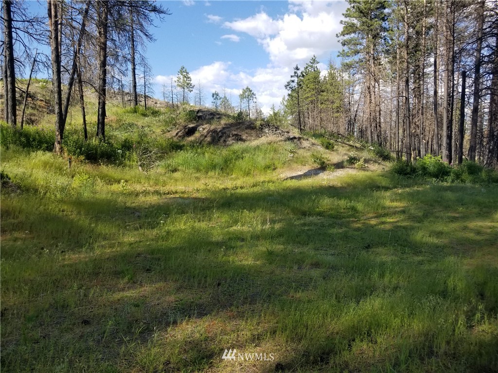 -tbd Tbd Albrecht Lake Road Riverside, WA 98849 - Photo 4 of 20