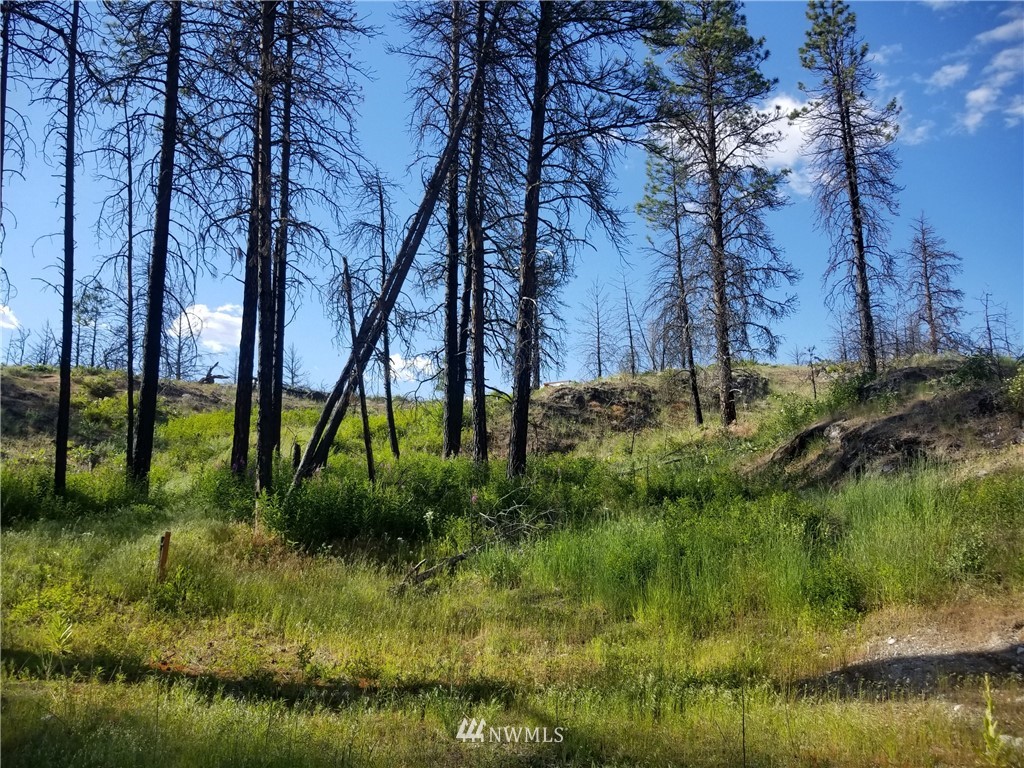 -tbd Tbd Albrecht Lake Road Riverside, WA 98849 - Photo 6 of 20