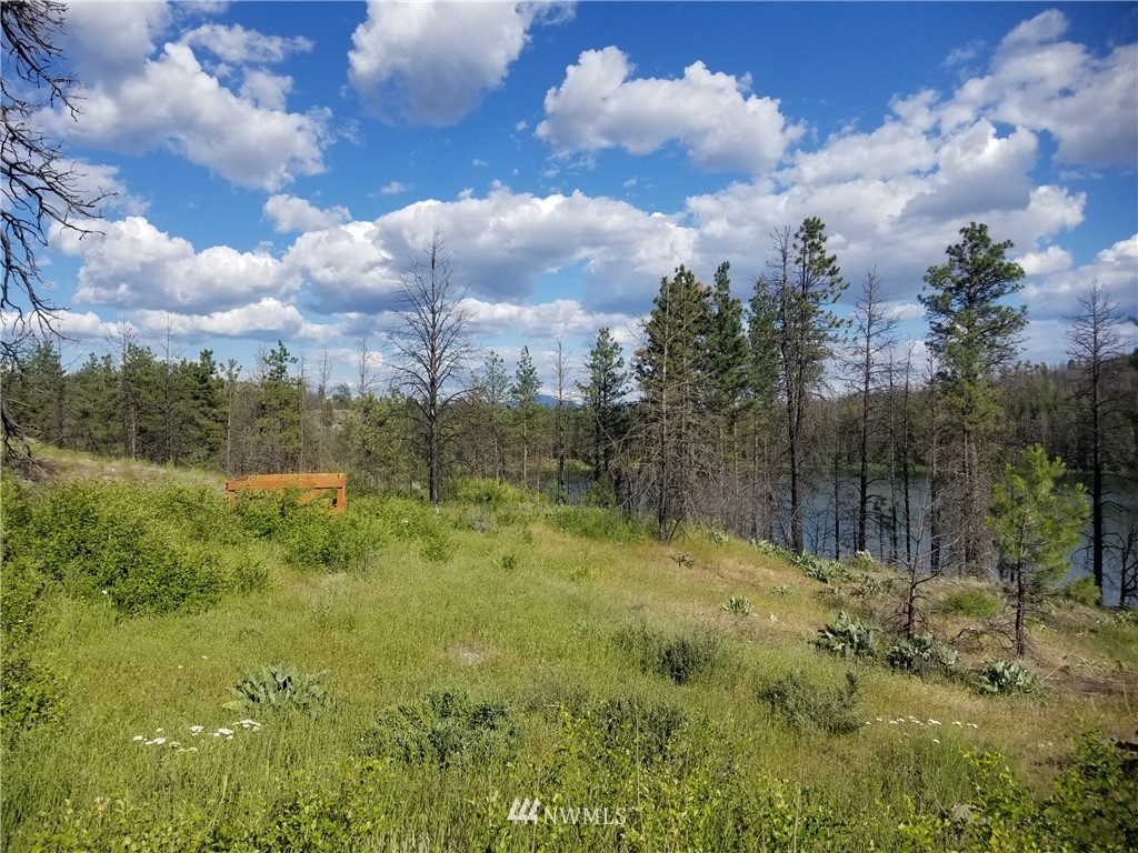 -tbd Tbd Albrecht Lake Road Riverside, WA 98849 - Photo 8 of 20