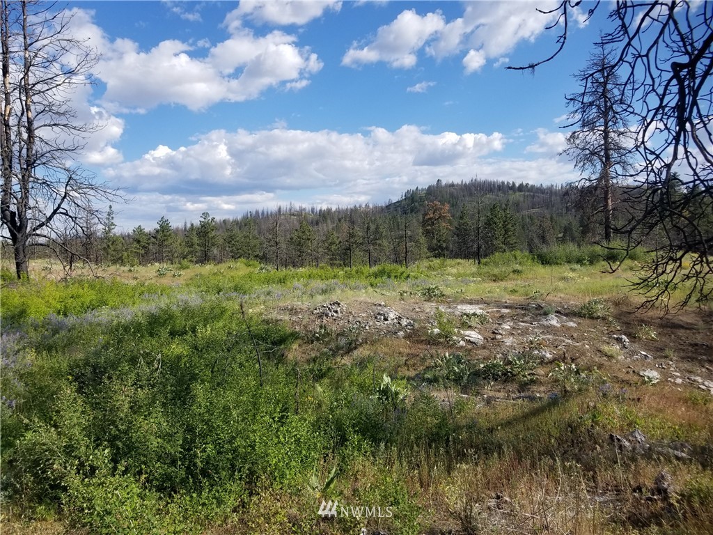 -tbd Tbd Albrecht Lake Road Riverside, WA 98849 - Photo 9 of 20