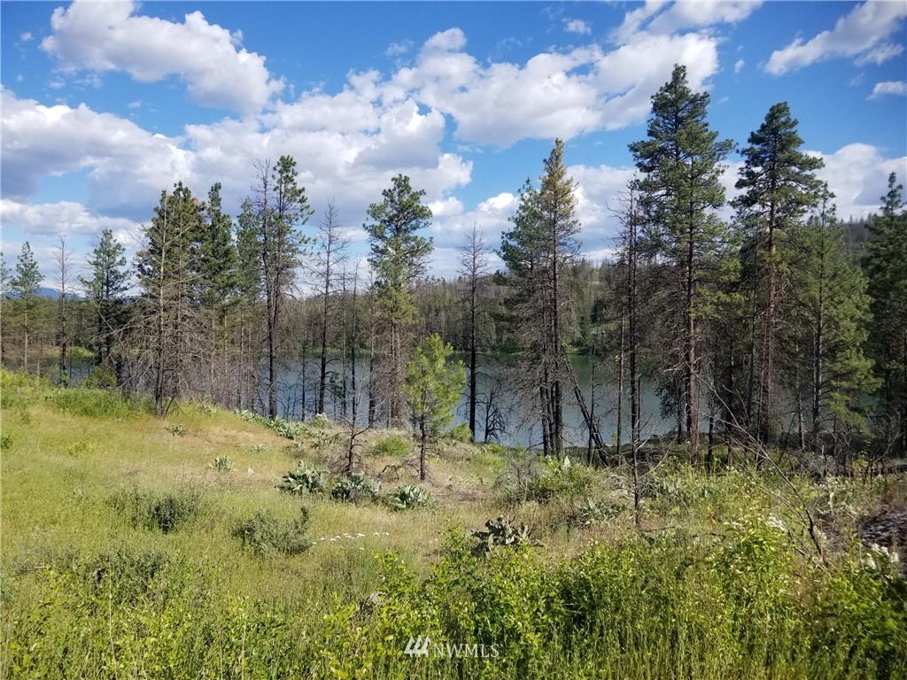 -tbd Tbd Albrecht Lake Road Riverside, WA 98849 - Photo 10 of 20