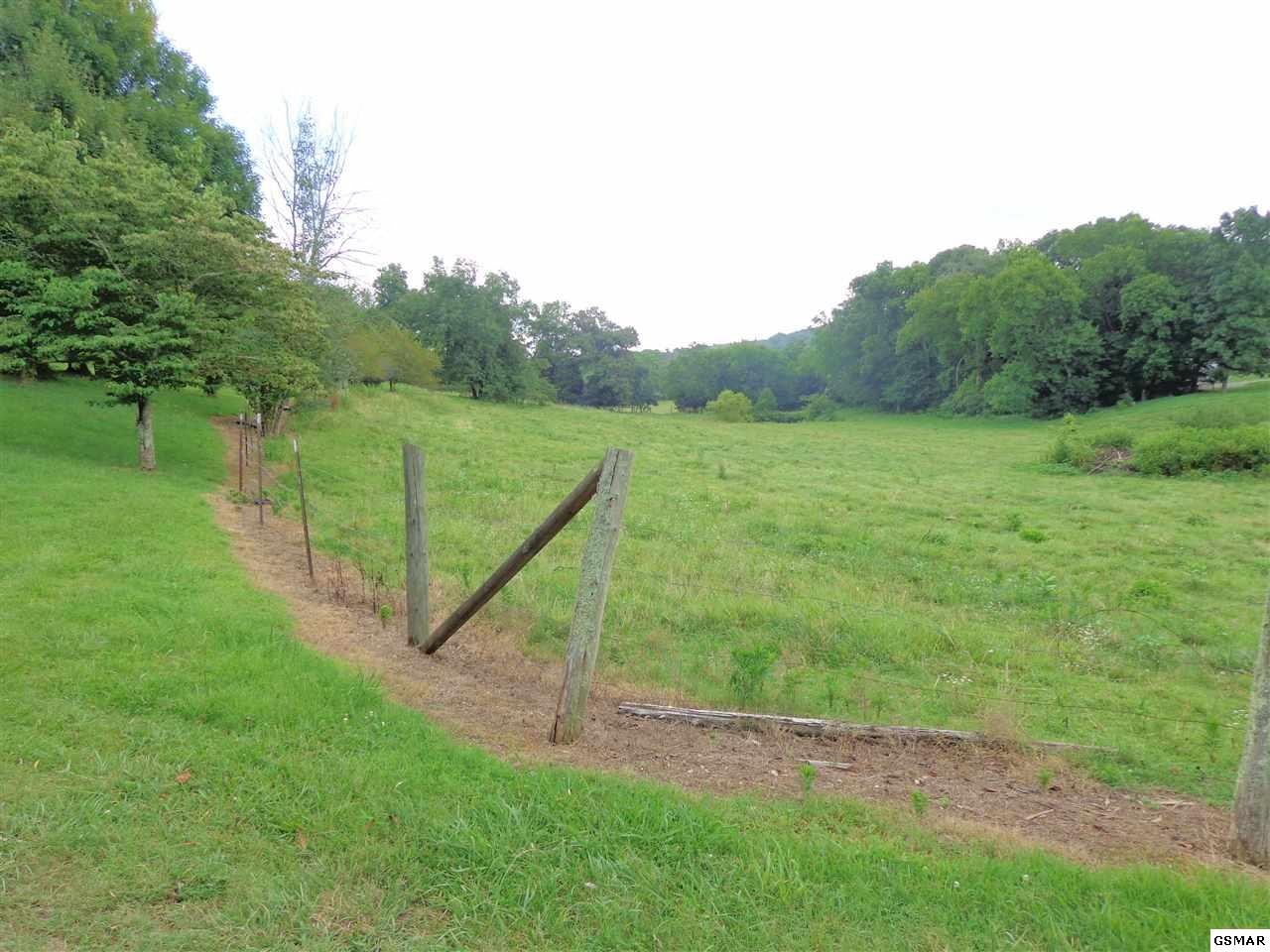 512 Cline Road Dandridge, TN 37725 - Photo 3 of 36 Gallery Image 3