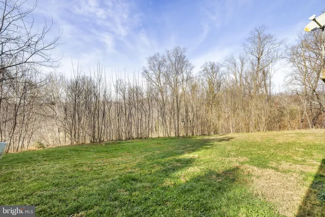 a view of outdoor space with green field and trees
