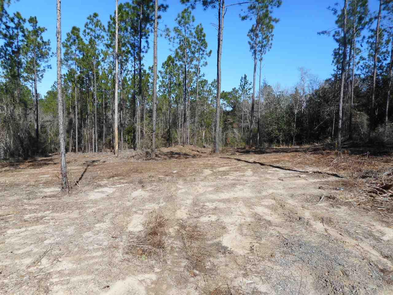 Lot 3 Wallace Lake Road Pace, FL 32571 - Photo 3 of 11