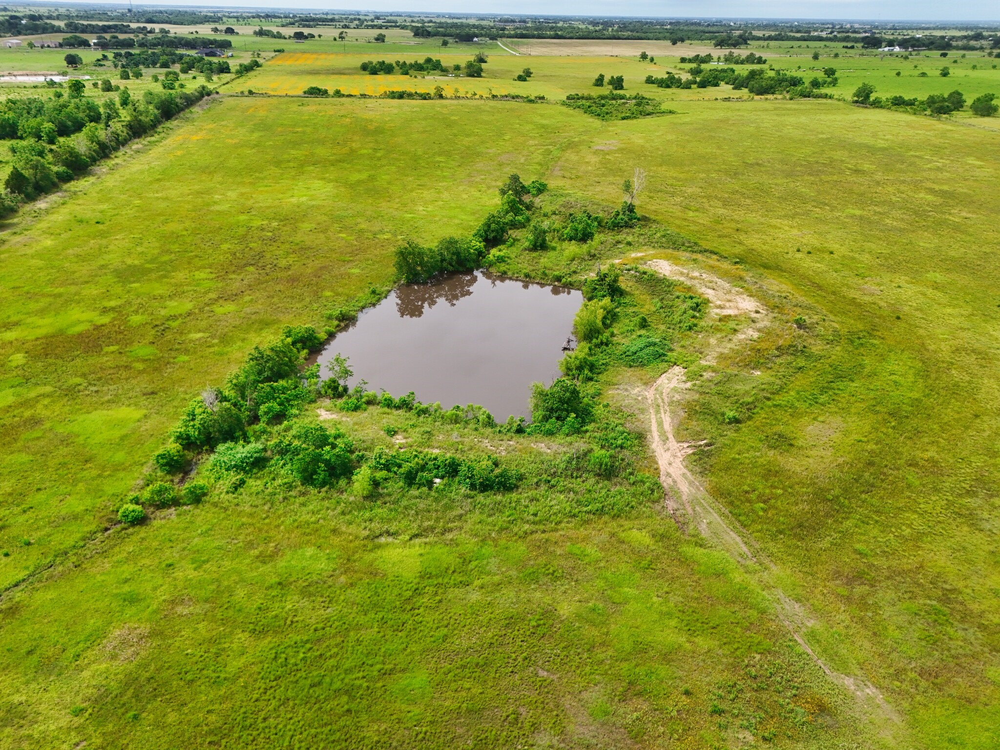 33753 Betka Road Waller, TX 77484 - Photo 8 of 10