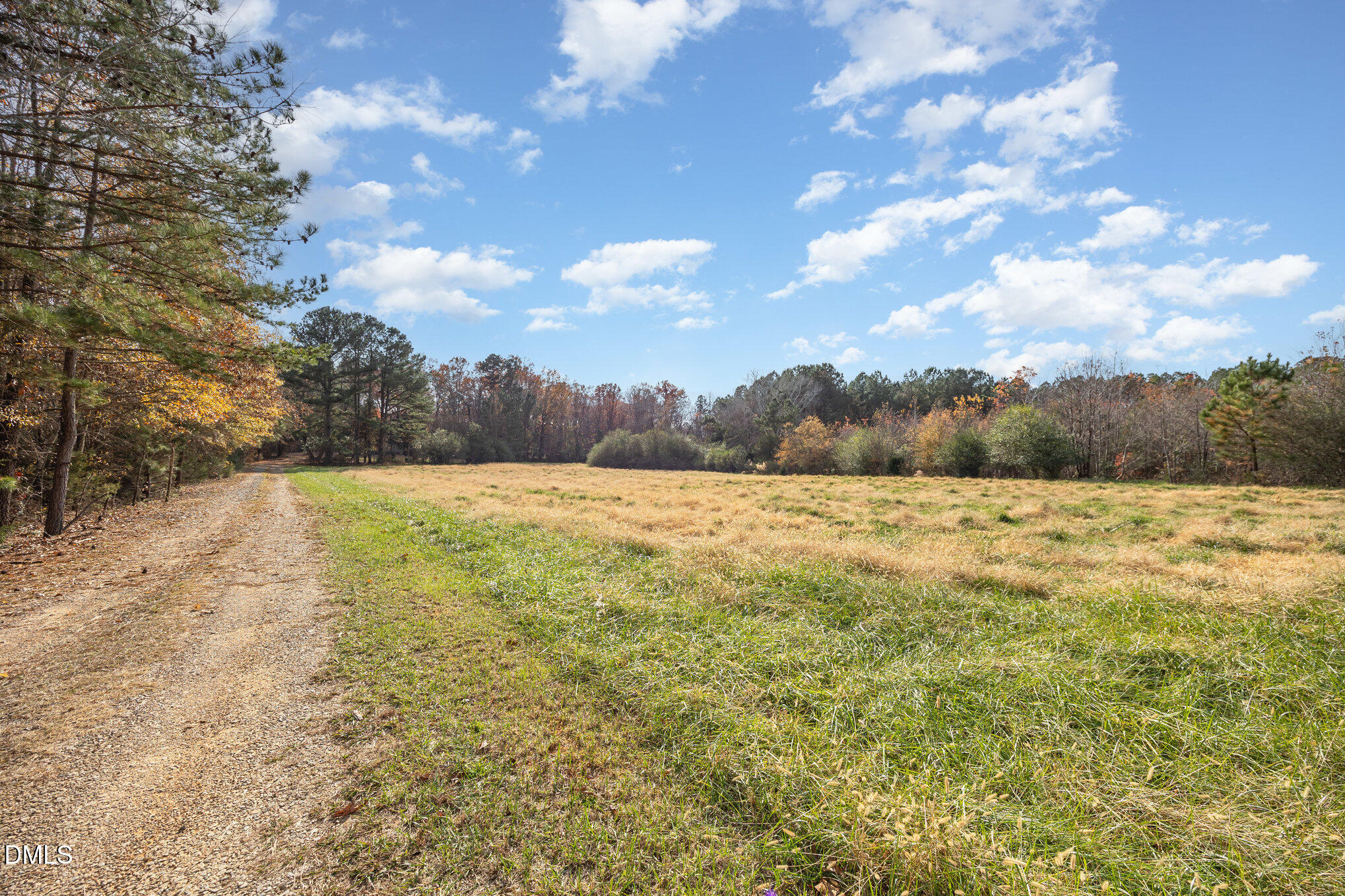227 Bellview Road Robbins, NC 27325 - Photo 16 of 20