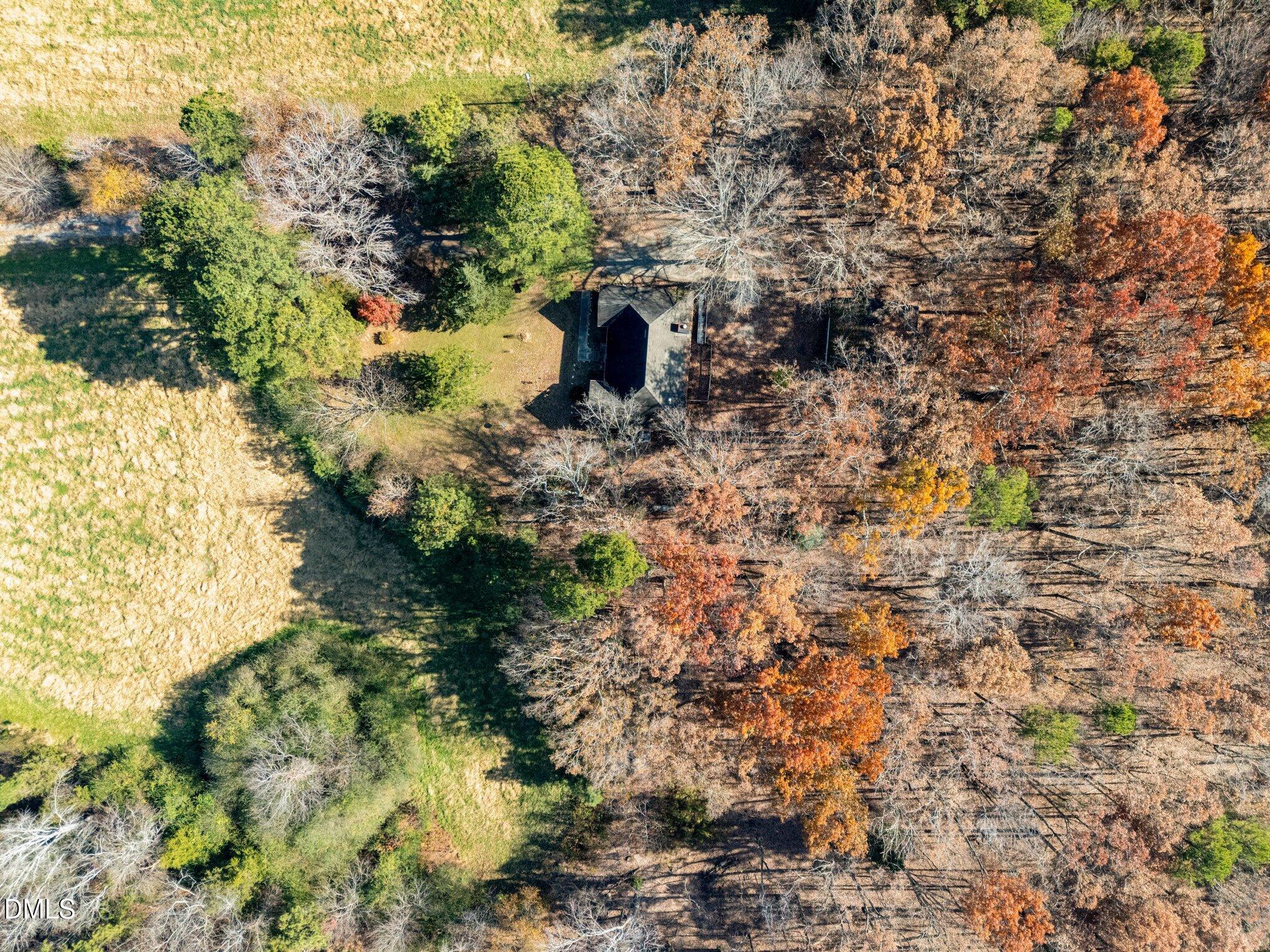 227 Bellview Road Robbins, NC 27325 - Photo 19 of 20 a view of a yard with plants