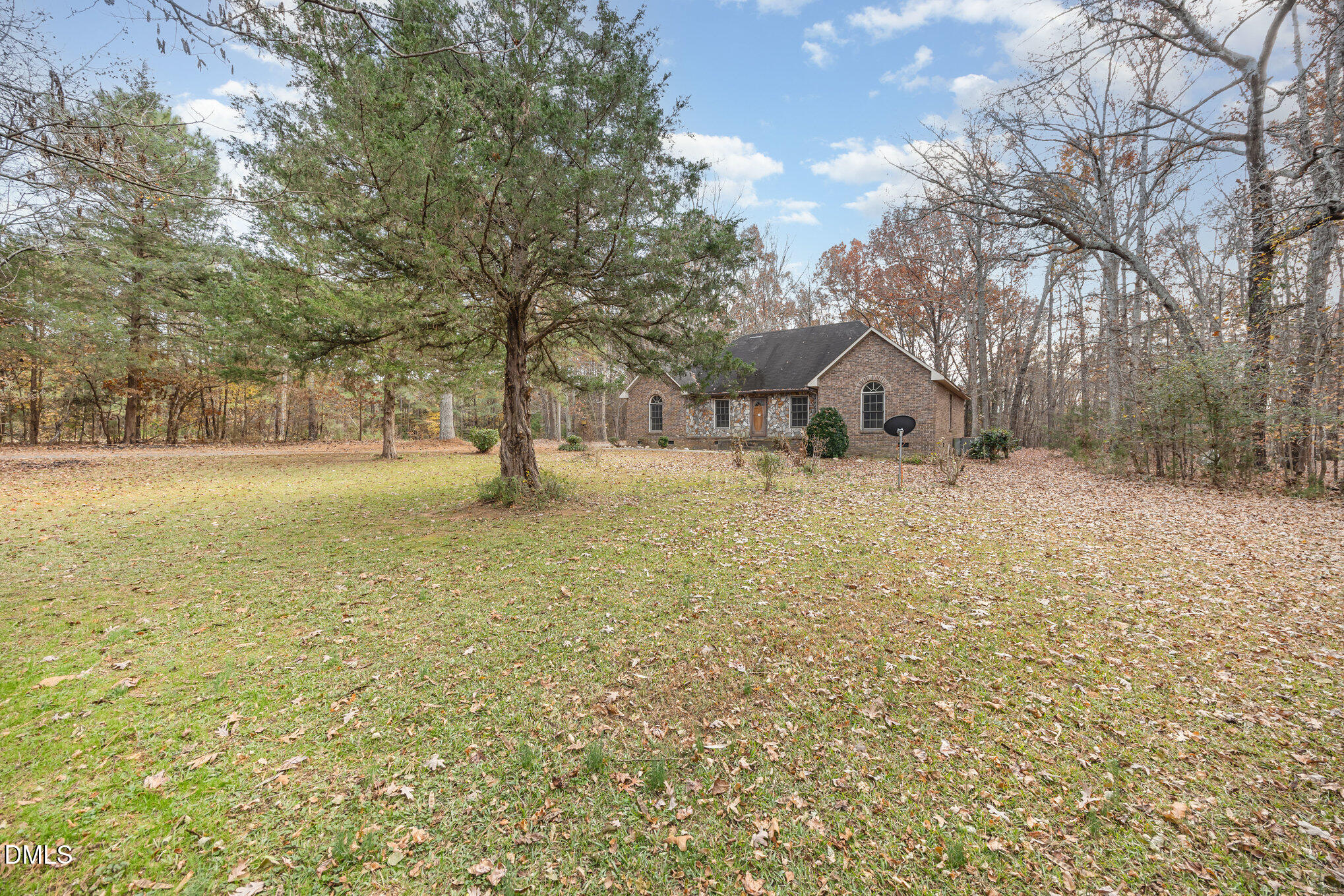 227 Bellview Road Robbins, NC 27325 - Photo 3 of 20 a view of a yard with a tree