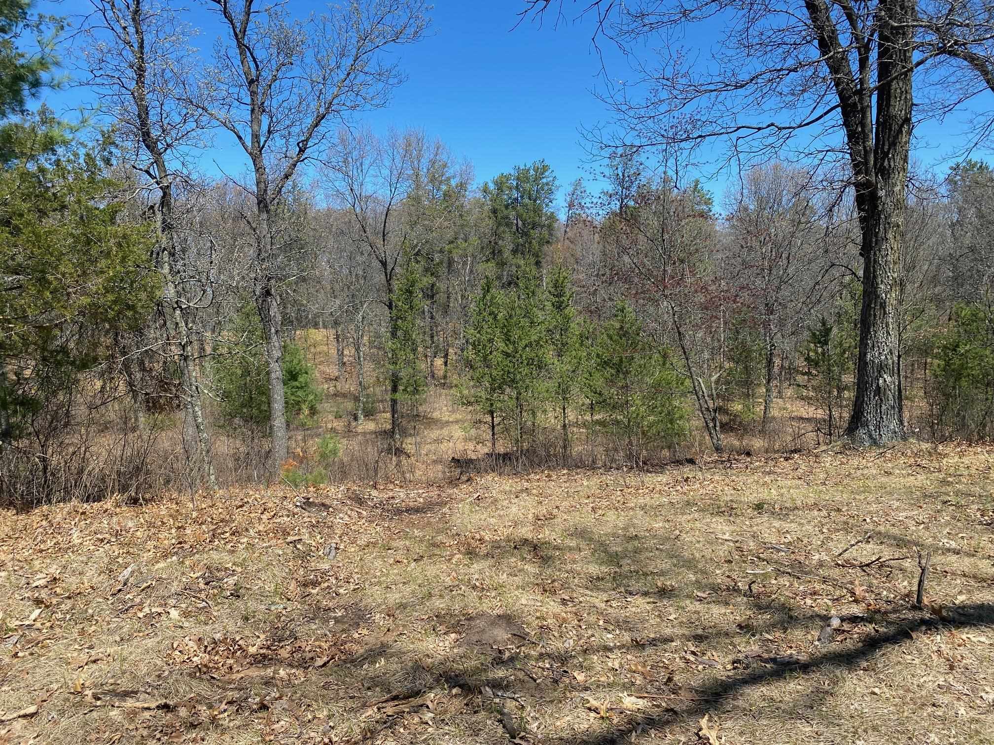 1172 Fairway Trail Nekoosa, WI 54457 - Photo 5 of 29