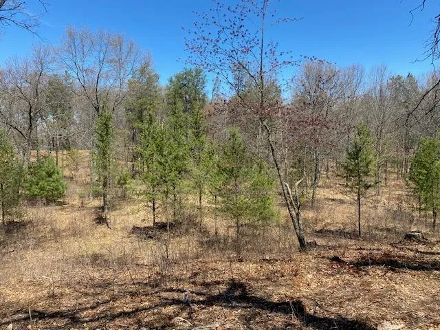 $28,000 | 1172 Fairway Trail, Nekoosa, WI 54457