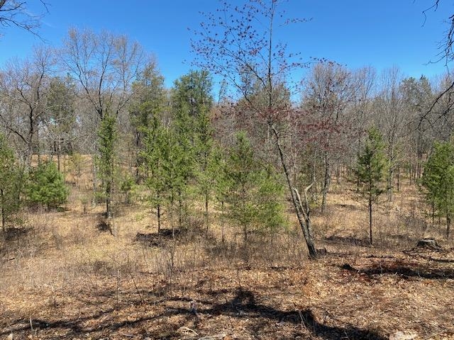 1172 Fairway Trail Nekoosa, WI 54457 - Photo 6 of 29