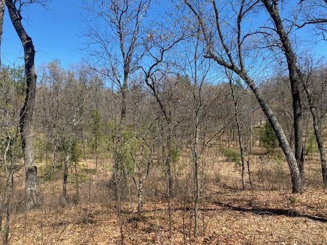 1172 Fairway Trail Nekoosa, WI 54457 - Photo 8 of 29