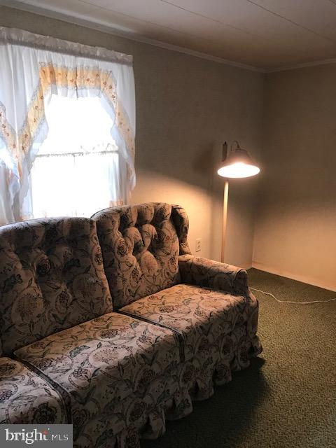 6538 Kopp Road Spring Grove, PA 17362 - Photo 22 of 83