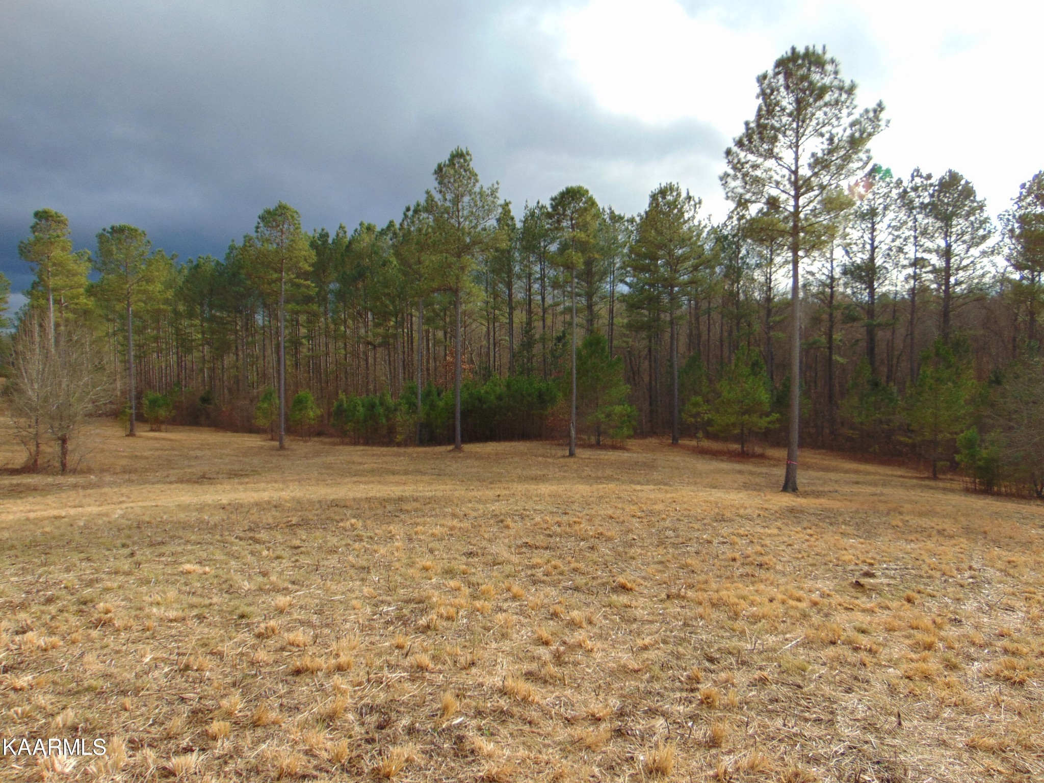 11 Athens Road Calhoun, TN 37309 - Photo 35 of 59 Gallery Image 35