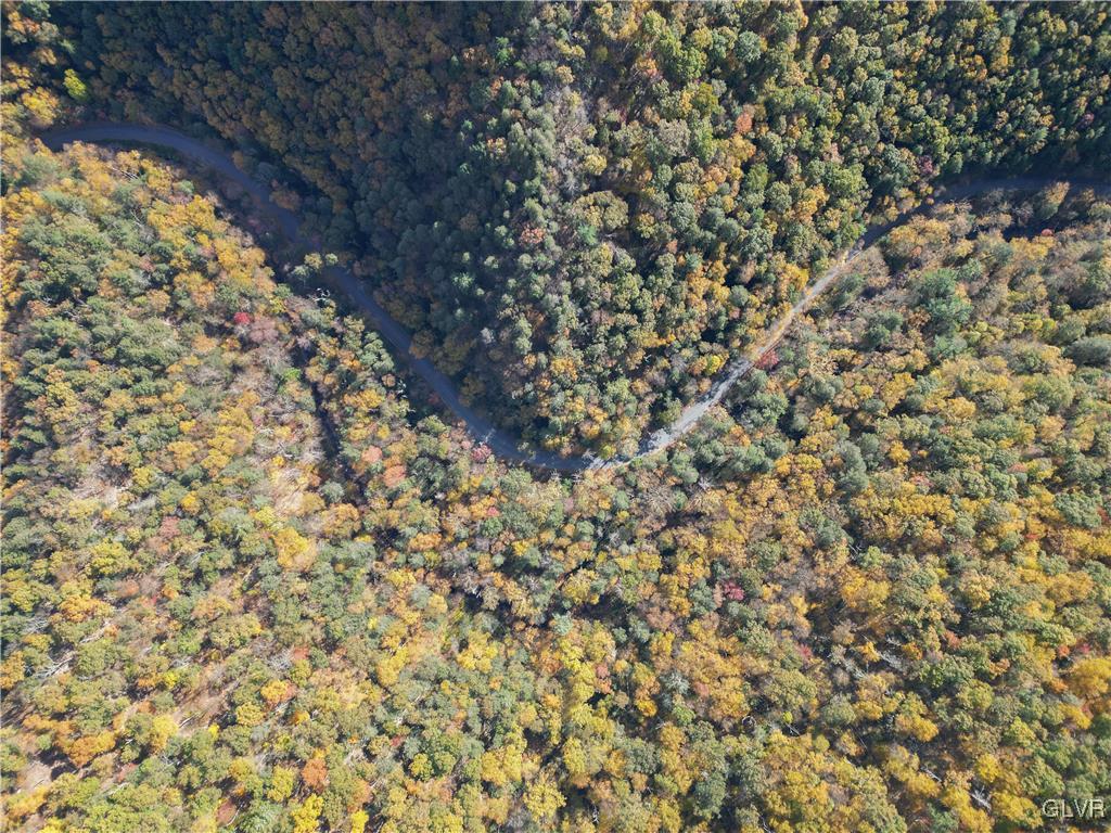 Catawissa Road Tamaqua, PA 18252 - Photo 2 of 19 Gallery Image 2