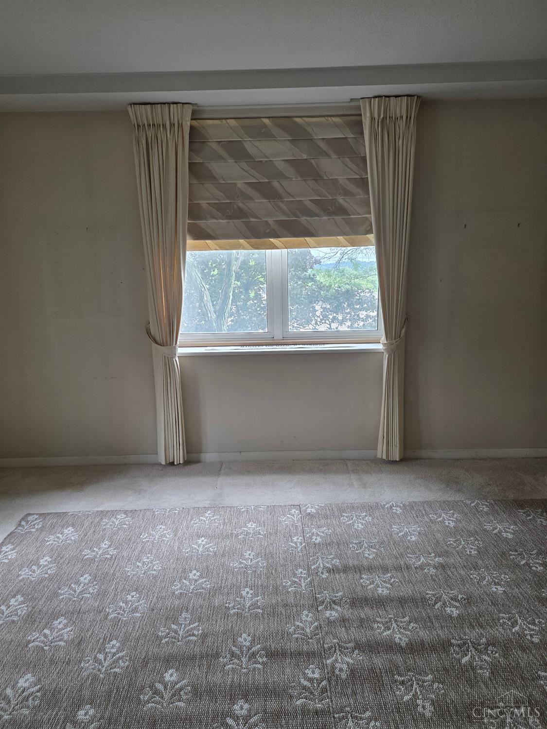 2444 Madison Road, Unit 210B Cincinnati, OH 45208 - Photo 26 of 39