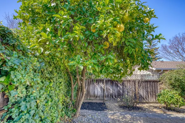 $1,999,000 | 3364 Merrimac Drive, San Jose, CA 95117