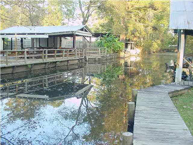 32005 Pats Lane Springfield, LA 70462 - Photo 8 of 10 Gallery Image 8