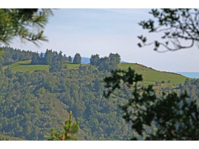 46314 Pfeiffer Ridge Road Big Sur, CA 93920 - Photo 13 of 13 Gallery Image 13