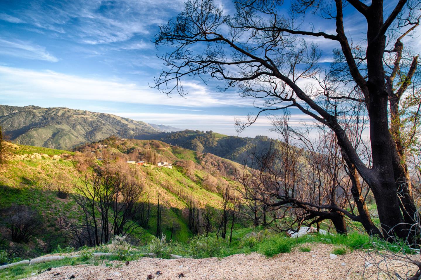 46314 Pfeiffer Ridge Road Big Sur, CA 93920 - Photo 7 of 13 Gallery Image 7