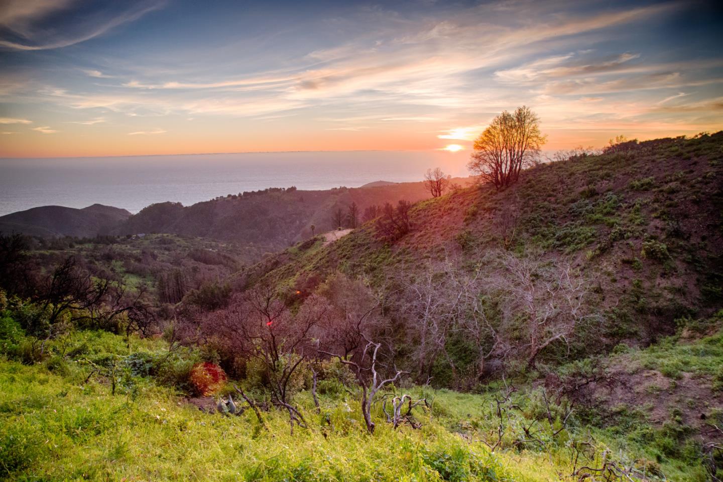 46314 Pfeiffer Ridge Road Big Sur, CA 93920 - Photo 10 of 13 Gallery Image 10