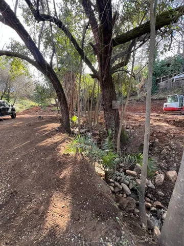 a view of outdoor space and trees