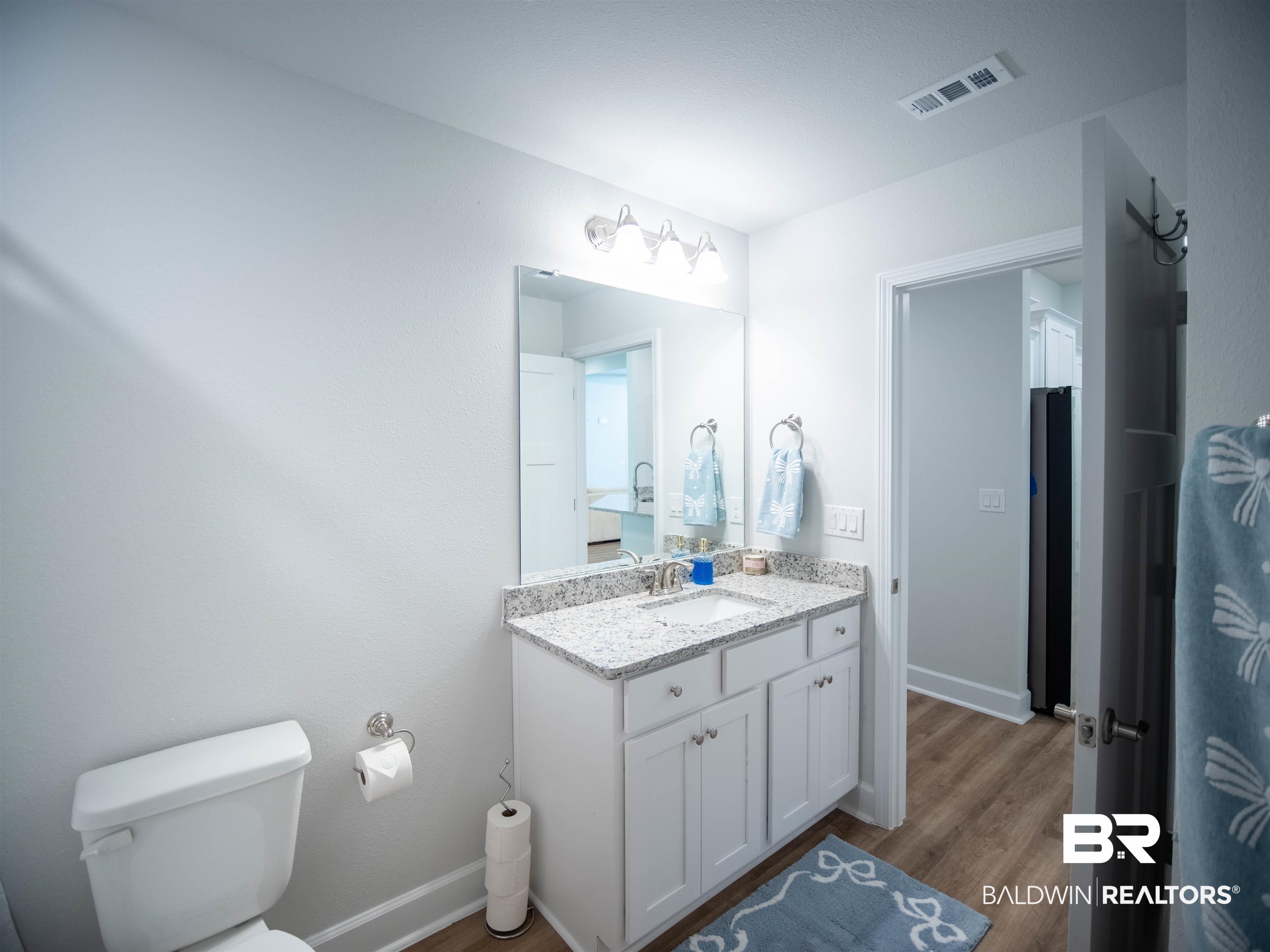 12646 Michigan Avenue Elberta, AL 36530 - Photo 35 of 47 Bathroom with vanity and wood finished floors
