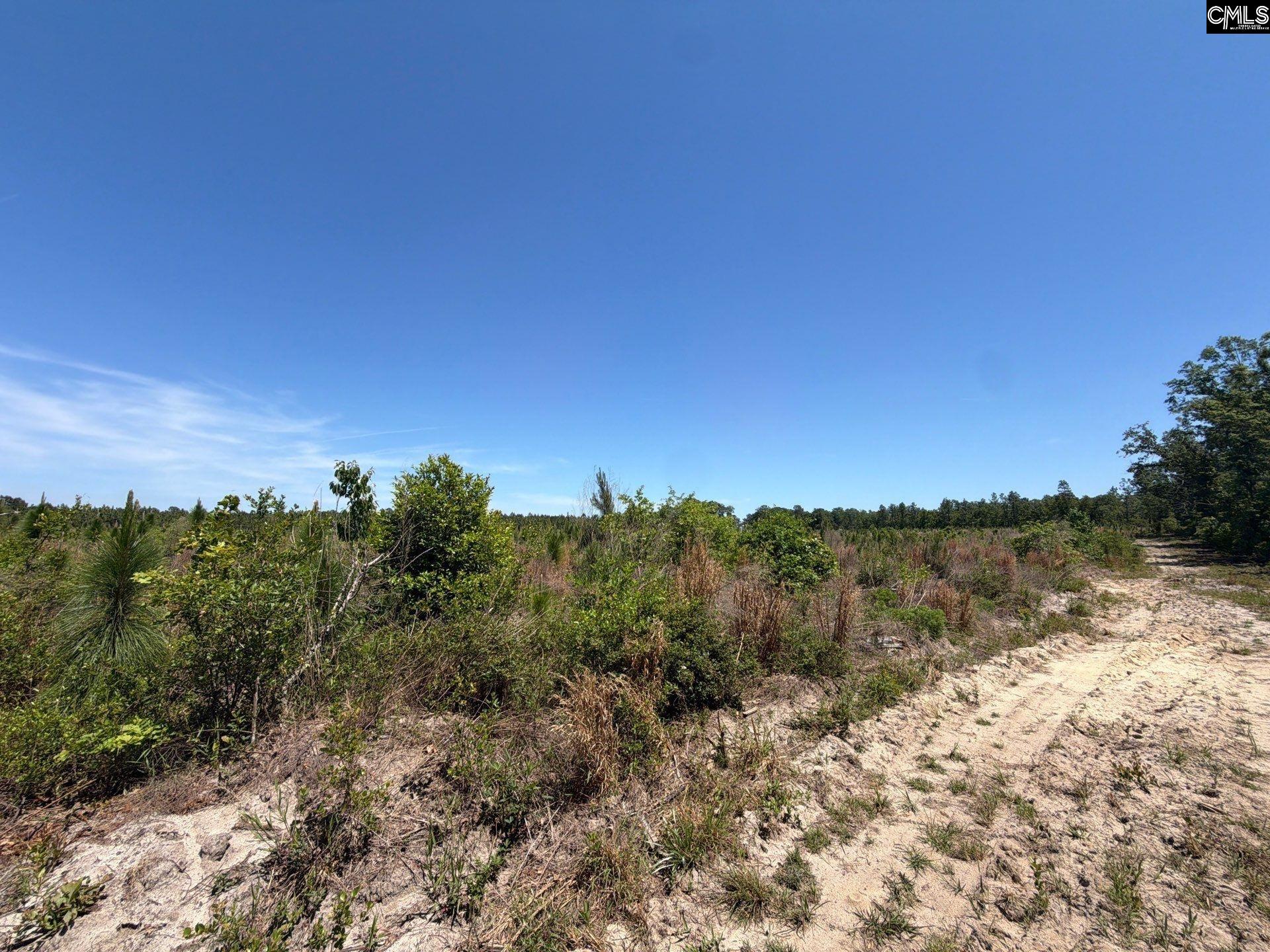 1 Holstein Road Monetta, SC 29105 - Photo 24 of 36