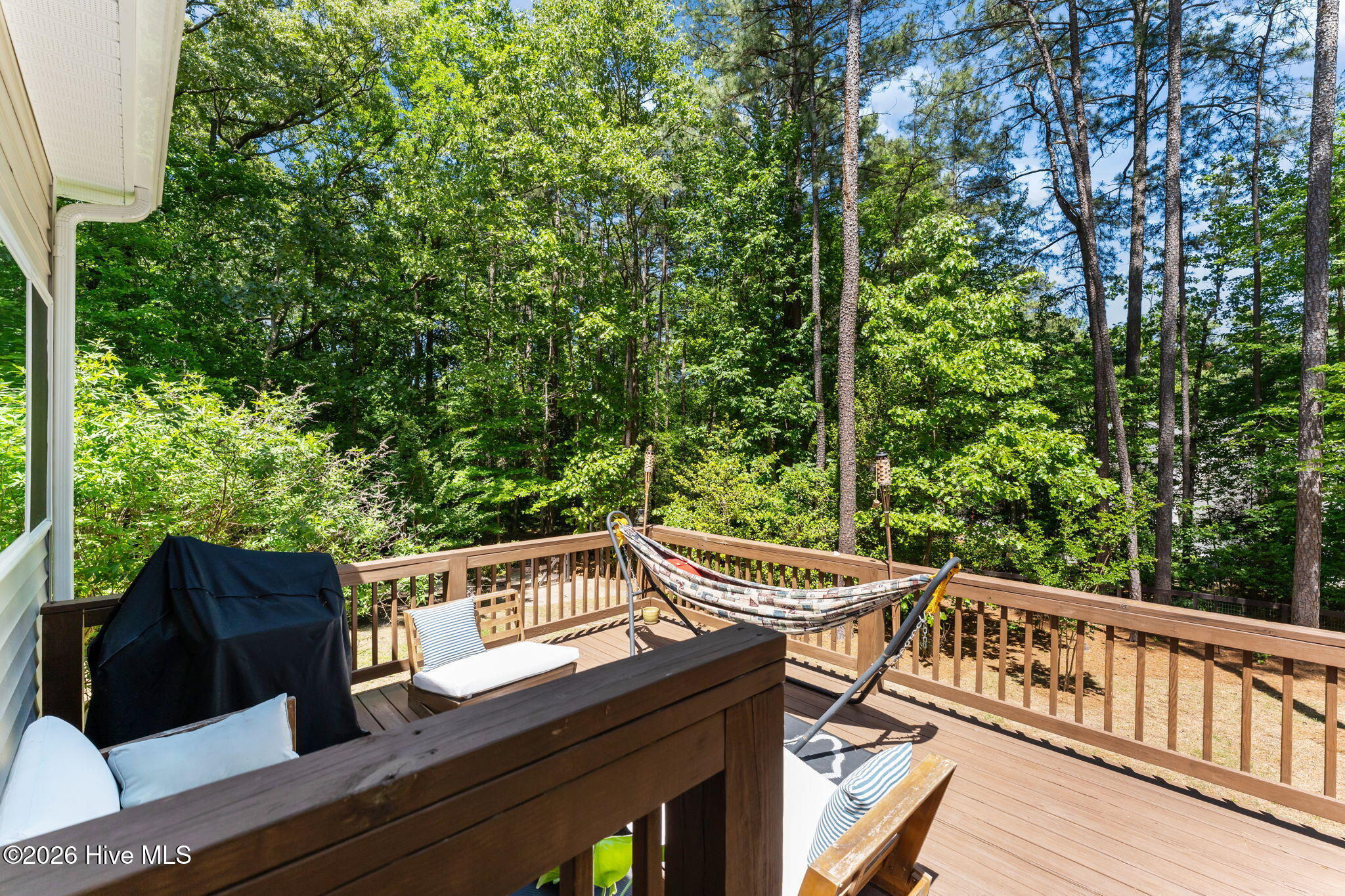 1659 East Indiana Avenue Southern Pines, NC 28387 - Photo 39 of 59 43-web-or-mls-DSC04174