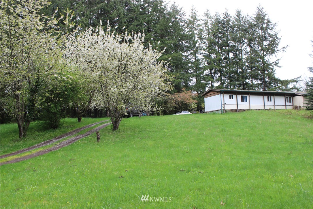 4634 163rd Rochester, WA 98579 - Photo 14 of 18