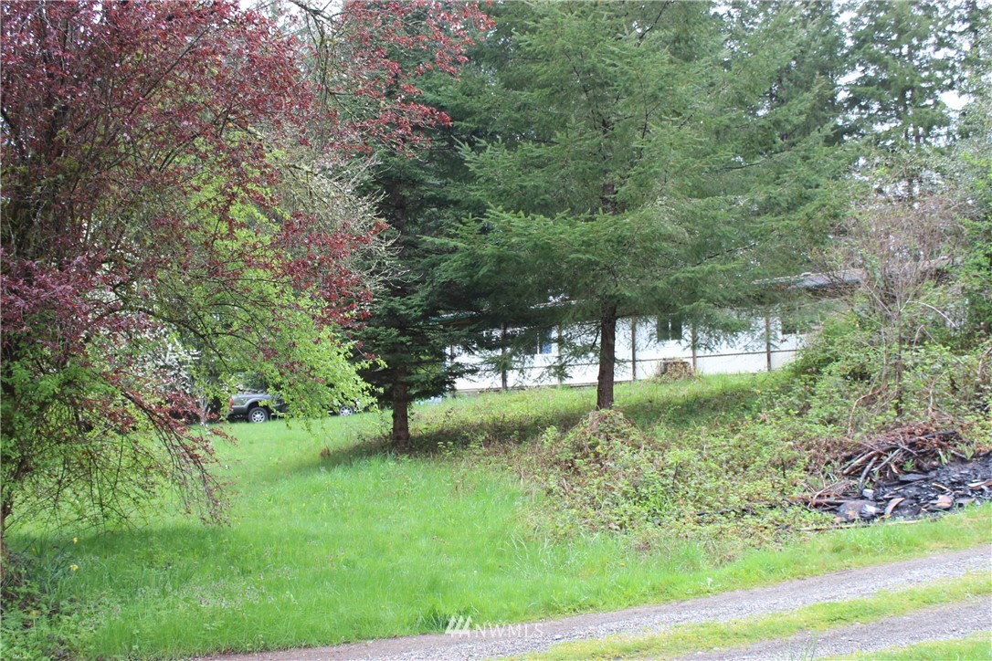 4634 163rd Rochester, WA 98579 - Photo 6 of 18