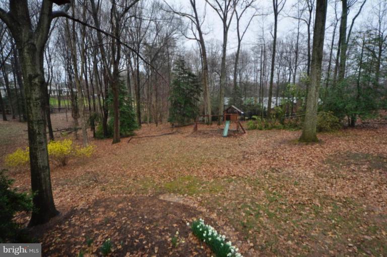 10506 Wickens Road Vienna, VA 22181 - Photo 2 of 13 Yard with play equipment