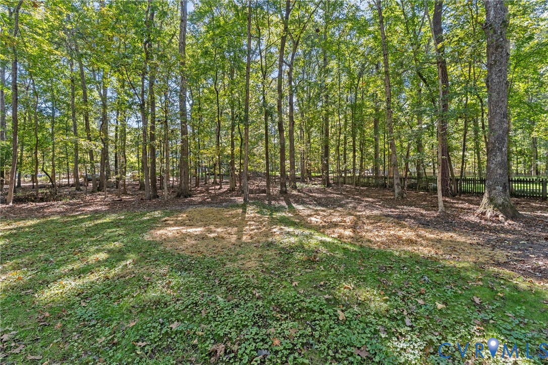 3031 East Brigstock Road Midlothian, VA 23113 - Photo 44 of 50 Gallery Image 44