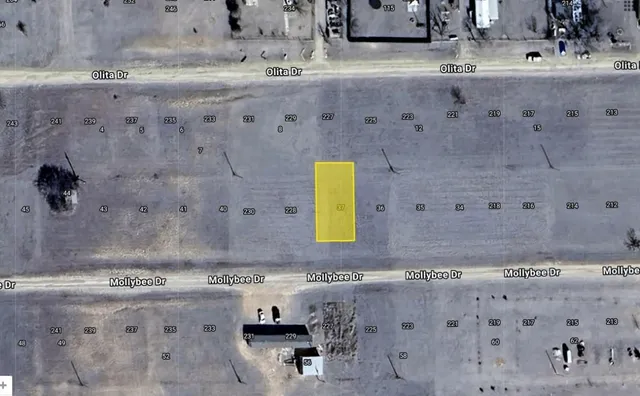 $1,500 | 37 Mollybee Drive, Howardwick, TX 79226