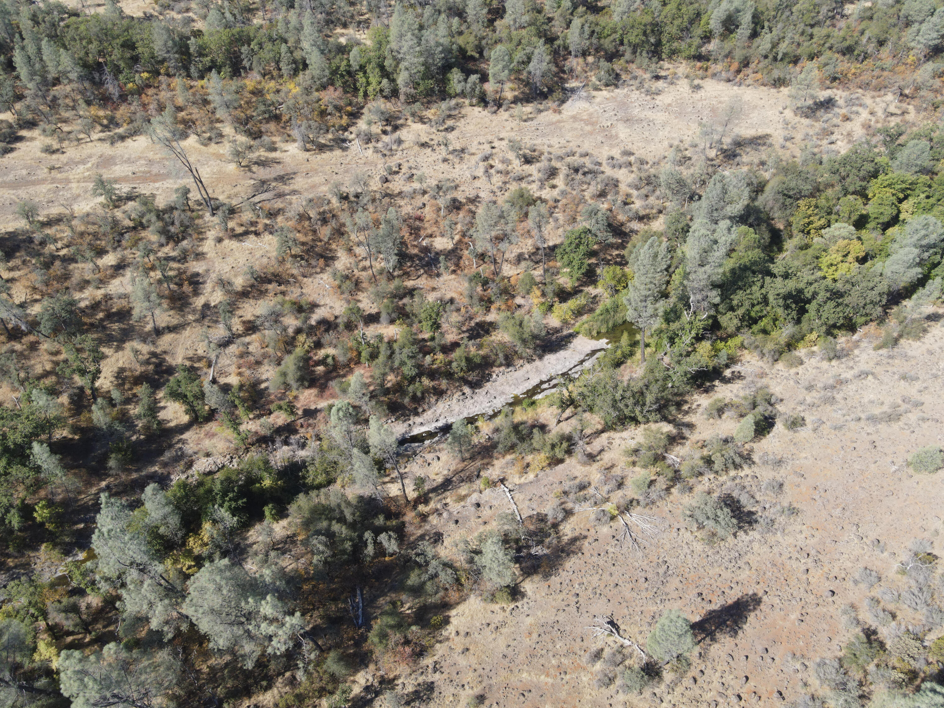 Nsa Dersch Road Shingletown, CA 96088 - Photo 14 of 56 DJI_0502_result