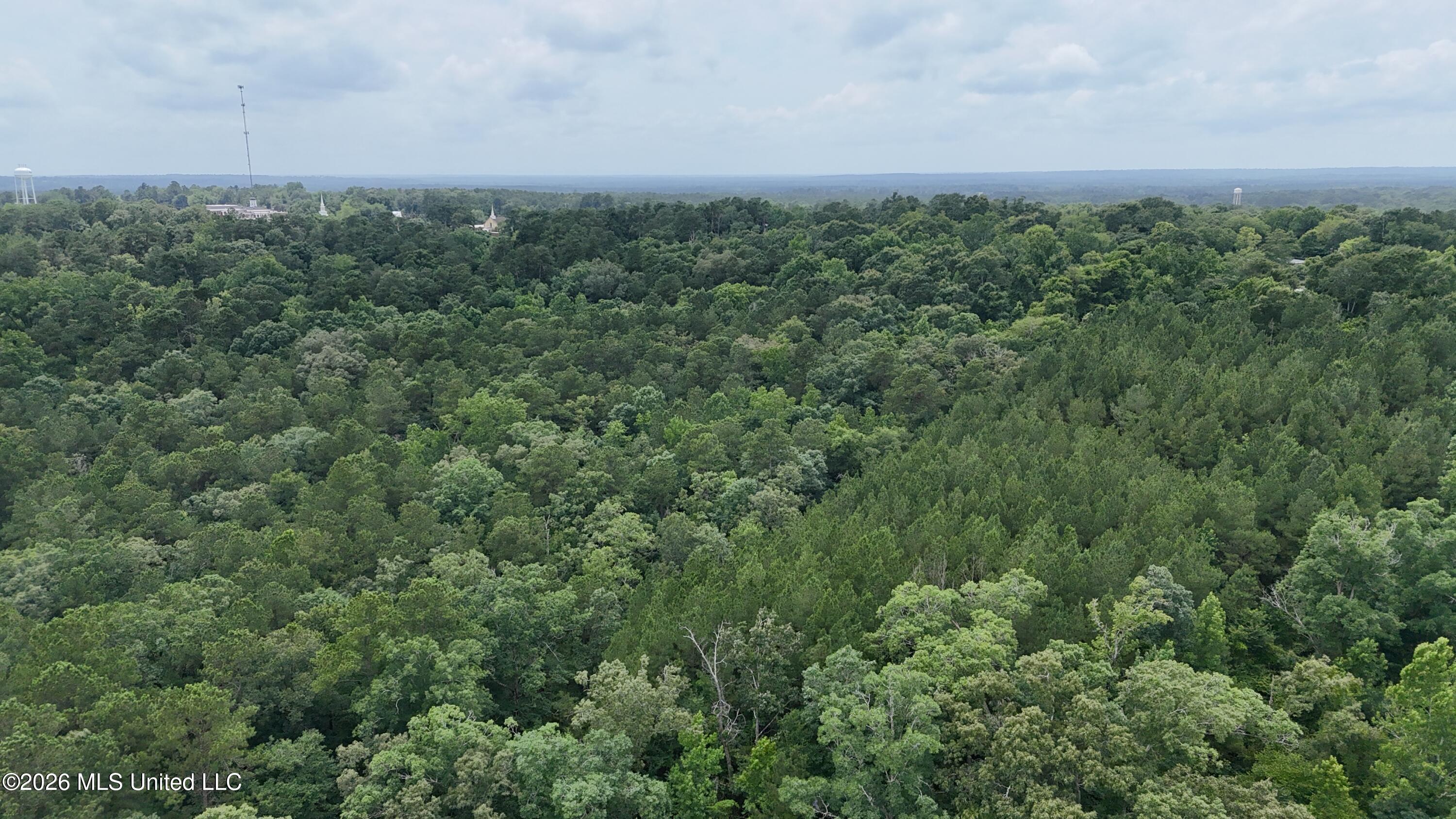 204 Mississippi 35 Raleigh, MS 39153 - Photo 26 of 32 dji_fly_20260617_134312_0308_17818737199